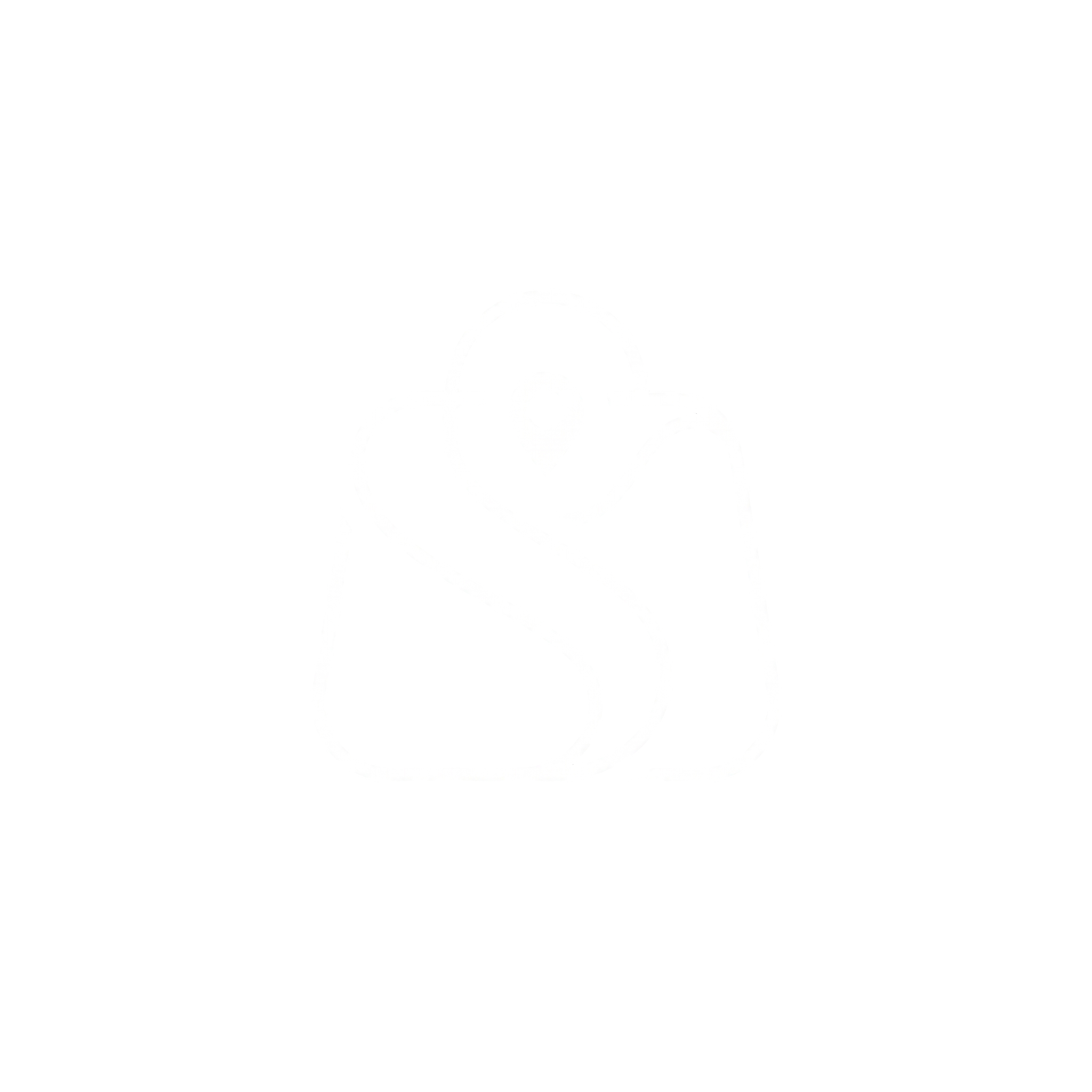 TripSatchel icon